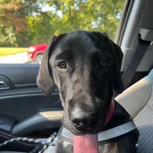 Meet your Posher, Jackie